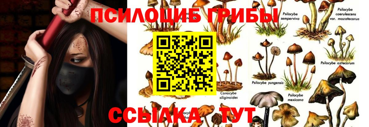 Галлюциногенные грибы ЛСД Тверь