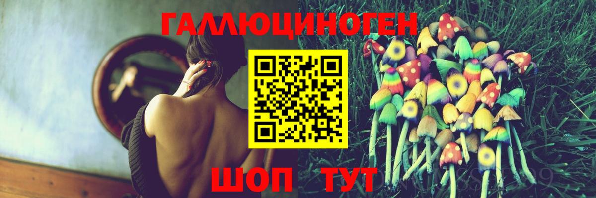 Псилоцибиновые грибы Magic Shrooms  где купить   Тверь  Вход с VPN 