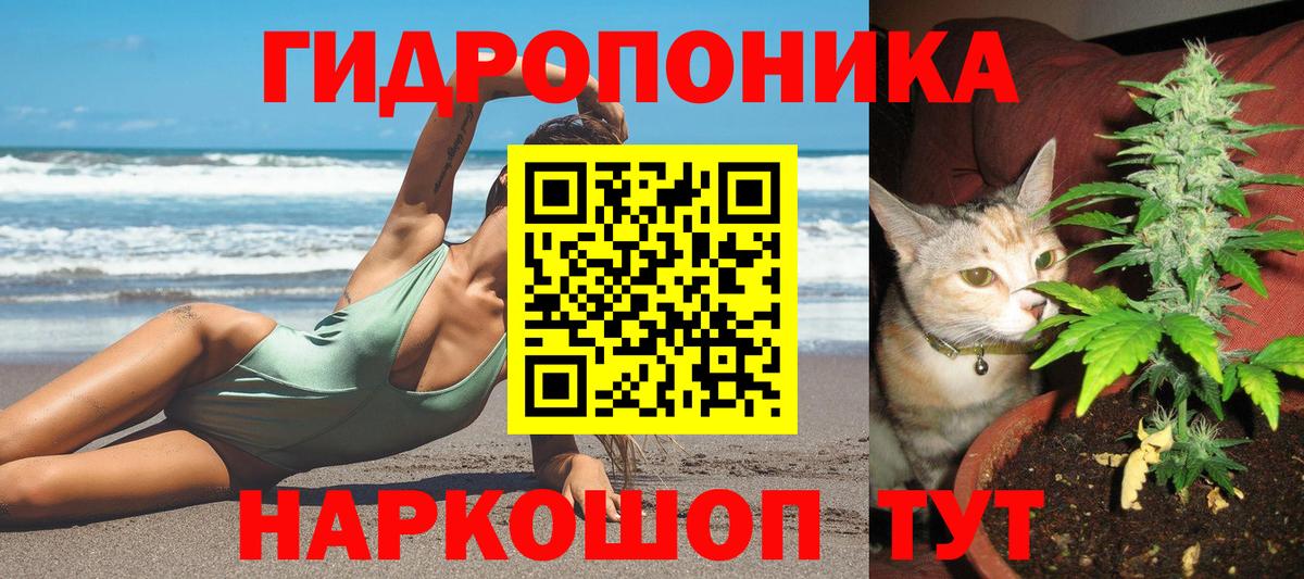 МАРИХУАНА VHQ  Канабис план  Вход с VPN  Канабис планчик  Тверь 